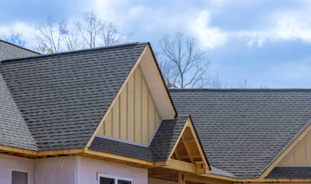 Best Roof Moss and Algae Removal  in Three Forks, MT