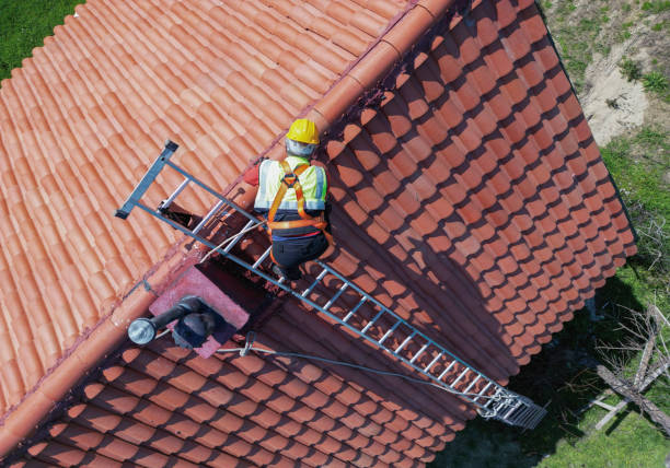 Best Cold Roofs  in Three Forks, MT